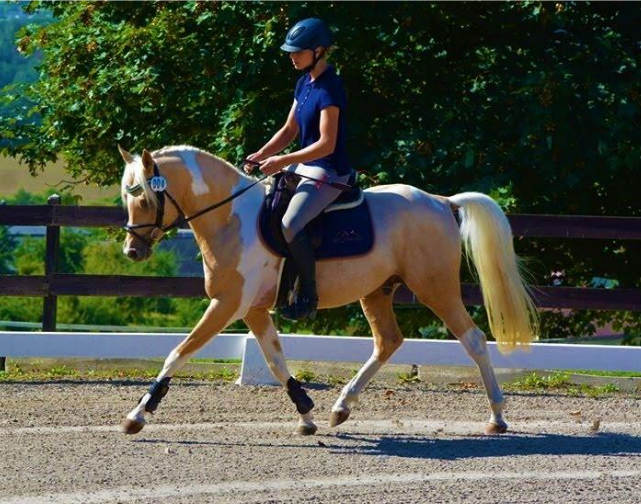Painted Dreamcatcher
