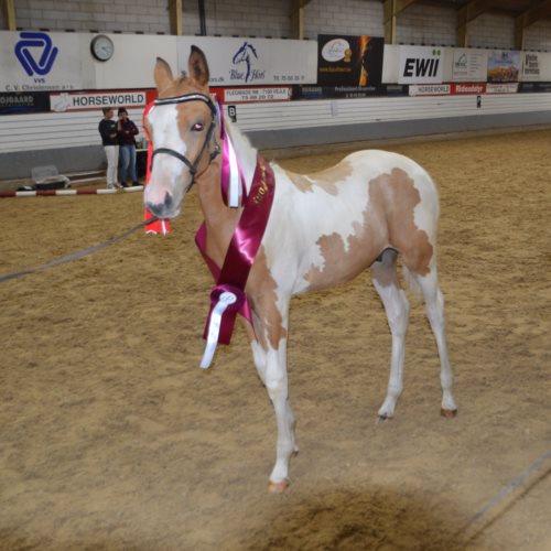 Gantrup Boogie Woogie