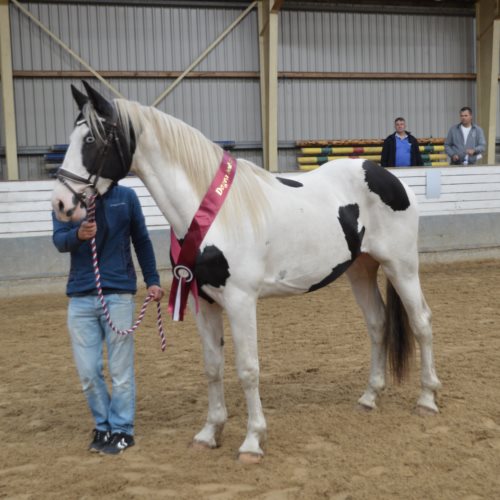 Halima af Dorotheasminde