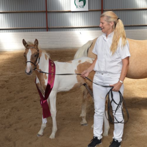 Kløvergårds Quena Surprise