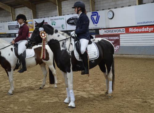LL. Stubbelands Luna Caramel