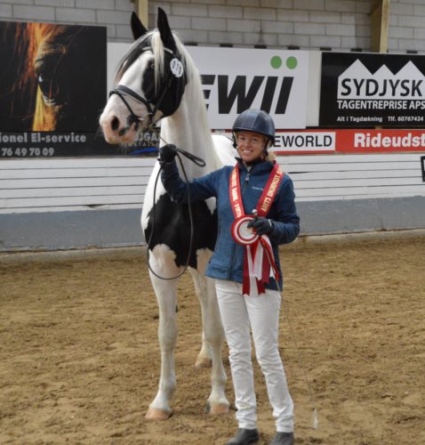 Jon Snow Fan Stald Barok