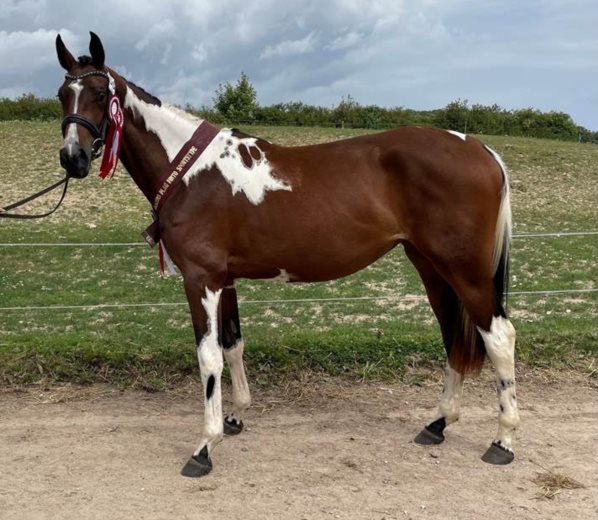 Laurbergs Cantolicious