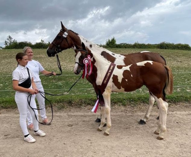 Laurbergs Lady Godiva