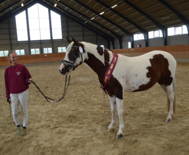 Gantrup Painted Fluffy