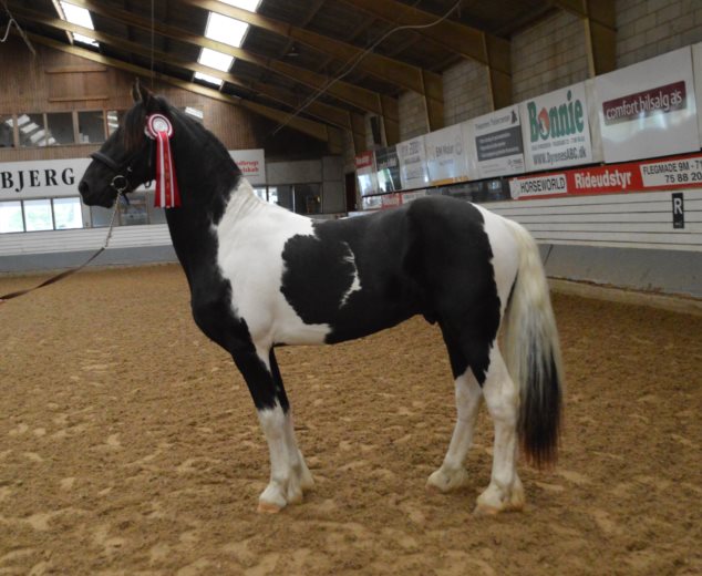 Zik Zak Skovbjerggaard