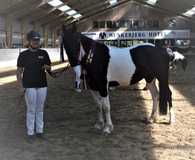 Kronborg's Dolly af Simoni