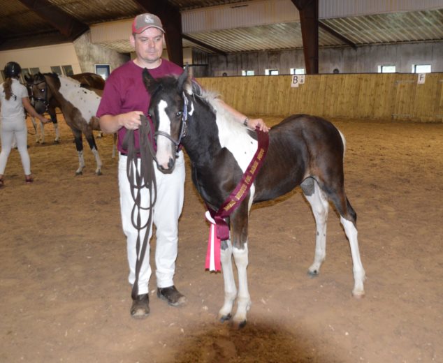 Landro's Secret Pearl