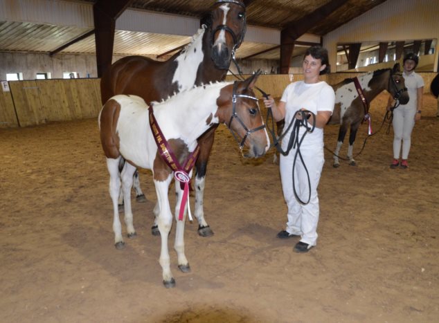 Laurbergs Gracieuxlicious