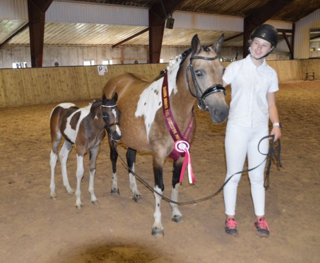 Laurbergs Hubba Bubba