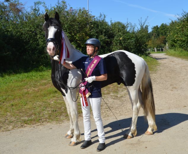 SNOWFLAKE VAN STALD BAROK *