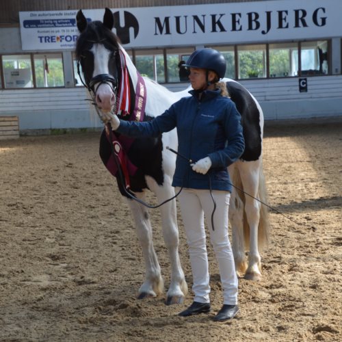 SNOWFLAKE VAN STALD BAROK *