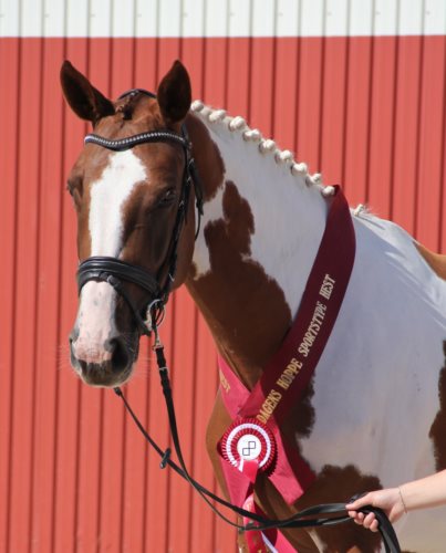 Laurbergs Lady Godiva