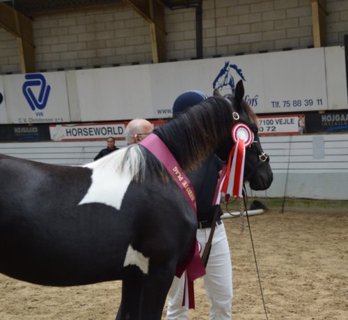 O.Flicka Skovbjergaard