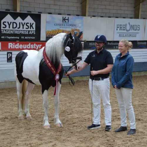 SNOWFLAKE VAN STALD BAROK *